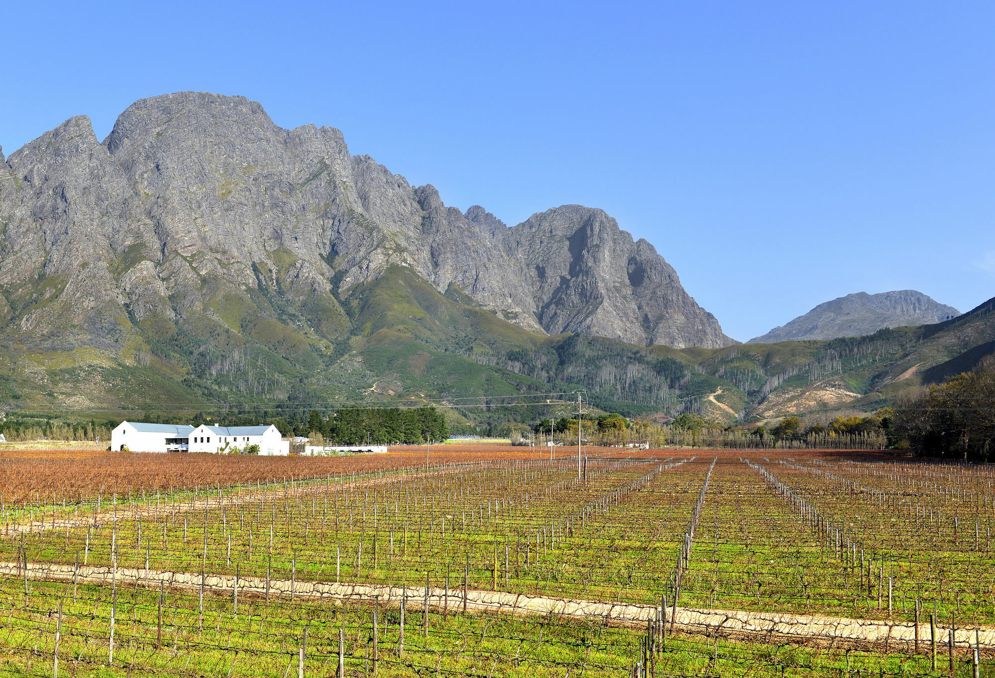 Holden Manz Country House Casa de hóspedes Franschhoek Exterior foto